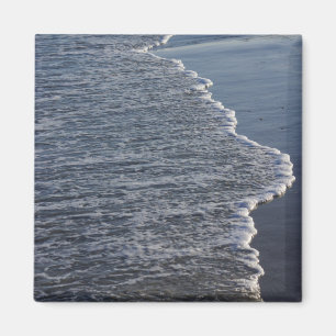 Shoreline Beauty Magnet