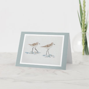 Shoreline Birds Illustration Card mit graugrüner F Karte