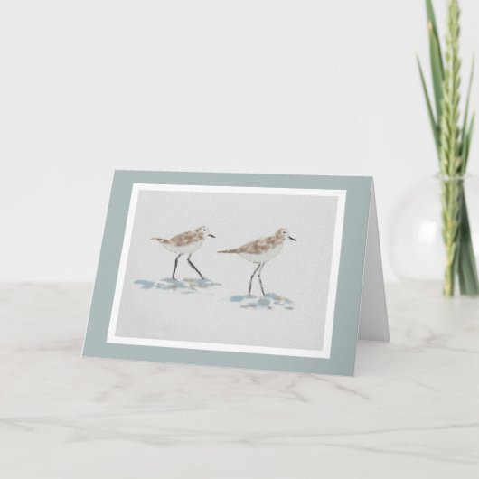 Shoreline Birds Illustration Card mit graugrüner F Karte (Vorderseite)