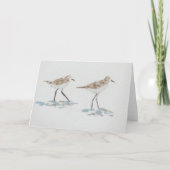 Shoreline Birds Illustration Karte (Vorderseite)