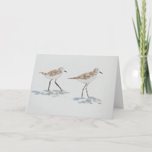 Shoreline Birds Illustration Karte (Vorderseite)