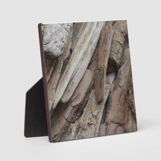 Shoreline Driftwood Foto Fotoplatte (Vorderseite)