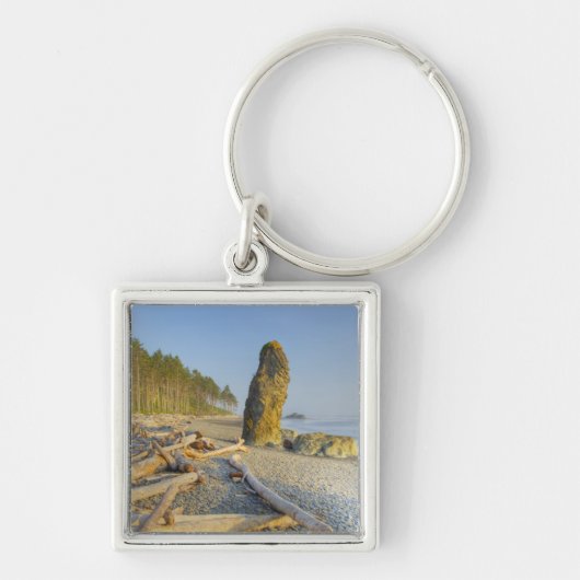 Shoreline und Seastacks, Ruby Beach, Olympic Schlüsselanhänger (Vorne)