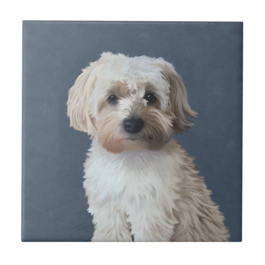 Shorkie-Hundeportrait Fliese (Vorderseite)