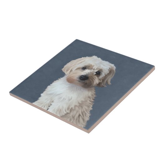 Shorkie-Hundeportrait Fliese (Seite)