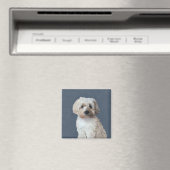 Shorkie-Hundeportrait Magnet (In Situ (Geschirrspüler))