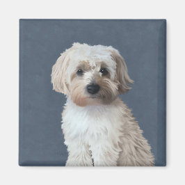 Shorkie-Hundeportrait Magnet