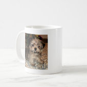 Shorkie Welpe Kaffeetasse (Vorderseite Links)