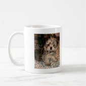 Shorkie Welpe Kaffeetasse (Links)