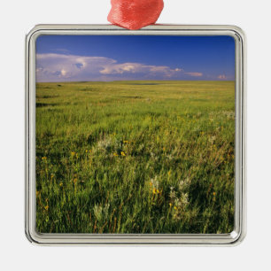 Short Grass Prairie im abgelegenen Nordosten Silbernes Ornament