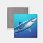 Shortfin Mako Shark Magnet (Vorderseite/Rückseite)