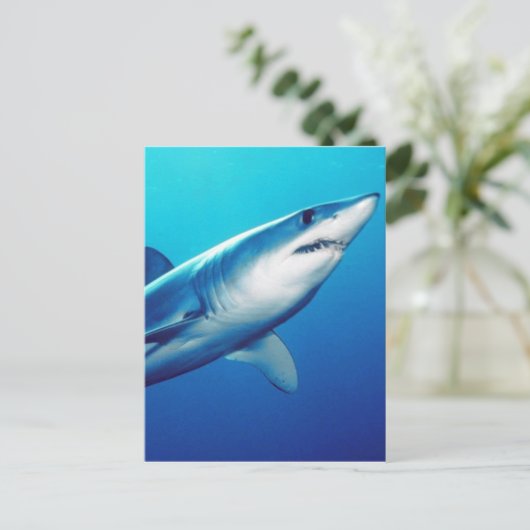 Shortfin Mako Shark Postkarte (Stehend Vorderseite)