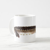 Shortnose Stör - Acipenser brevirostrum Kaffeetasse (Vorderseite Links)