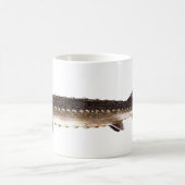 Shortnose Stör - Acipenser brevirostrum Kaffeetasse (Mittel)