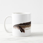 Shortnose Stör - Acipenser brevirostrum Kaffeetasse (Links)