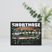 Shortnose Sturgeon Scutes PostCard Postkarte (Stehend Vorderseite)
