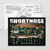 ShortnoseCollage-PCard Postkarte (Vorne/Hinten)