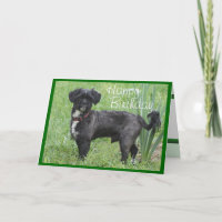 Shorty Iris-fertigen vorbei jede mögliche