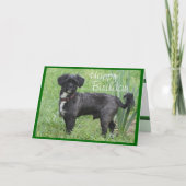 Shorty Iris-fertigen vorbei jede mögliche Karte (Vorderseite)