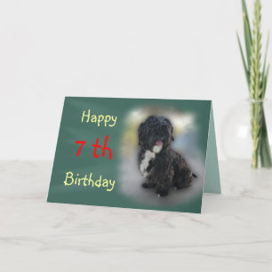 Shorty Lhasa Apso-Shih Tzu Card anpassen Karte