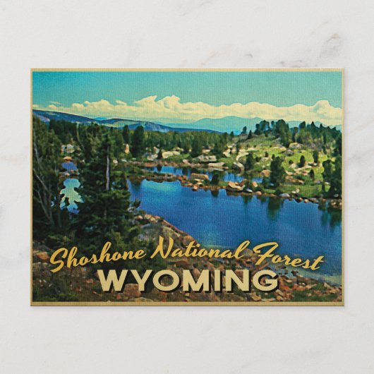 Shoshone National Forest Wyoming Postkarte (Vorderseite)