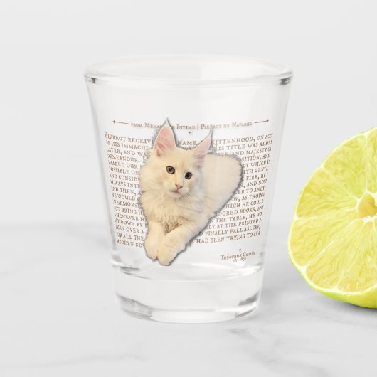 Shot glass - creme Maine Coon kitten Schnapsglas (Vorderseite)