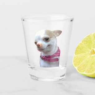 Shot Glass Hübsch Chihuahua Dog Meme Schnapsglas