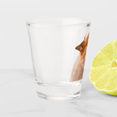 Shot Glass lächelnd Corgi Meme Schnapsglas (Links)