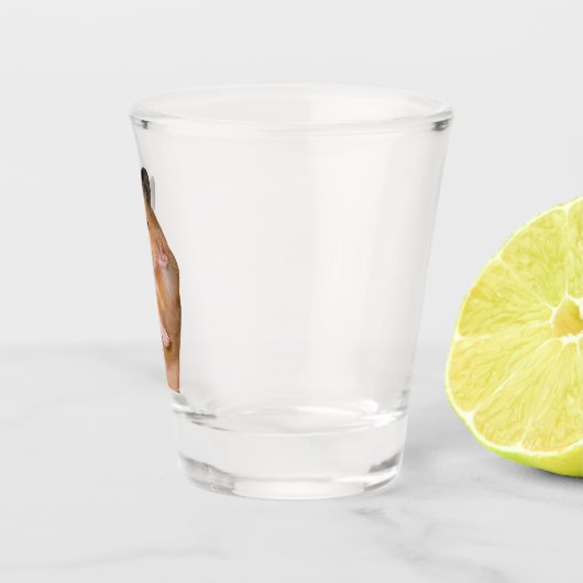 Shot Glass Peace Hamster Meme Schnapsglas (Rechts)