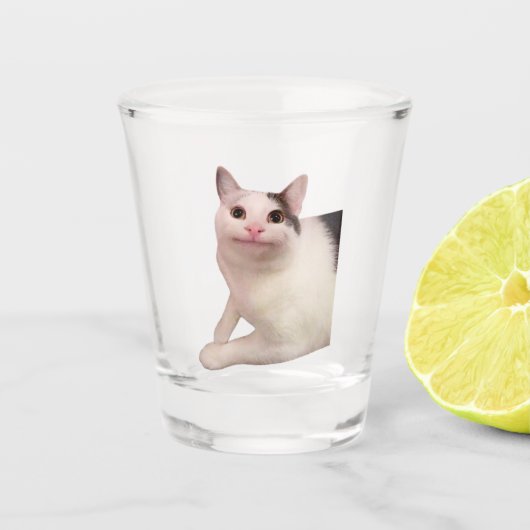 Shot Glass Polit Cat Meme Schnapsglas (Vorderseite)