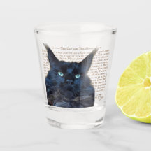 Shot glass - schwarze Maine Coon Katze