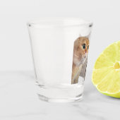 Shot Glass Talking Cats Meme Schnapsglas (Links)