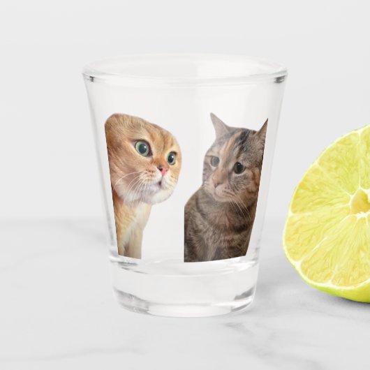Shot Glass Talking Cats Meme Schnapsglas (Vorderseite)