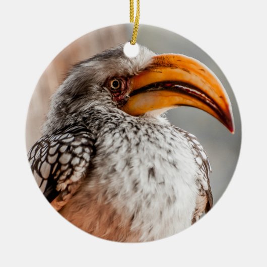 Shouthern Yellow Billy Hornbill Keramik Ornament (Vorne)