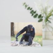 Shouting Chimp Postcard Postkarte (Stehend Vorderseite)
