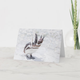 Shouting Penguin Karte