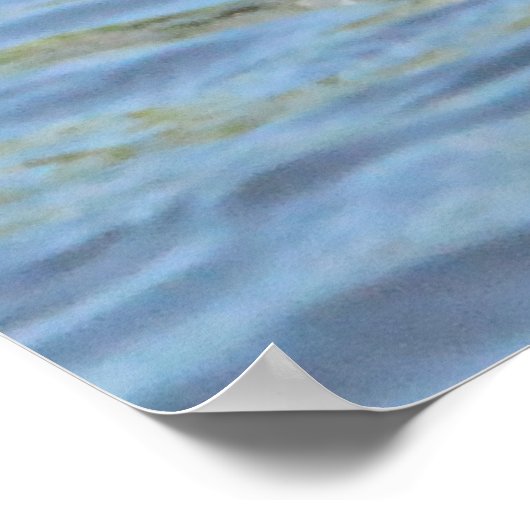 Shoveler Duck Poster (Ecke)