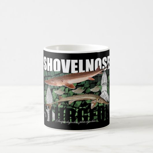 Shovelnose Stör-Collagen-Tasse Kaffeetasse (Mittel)