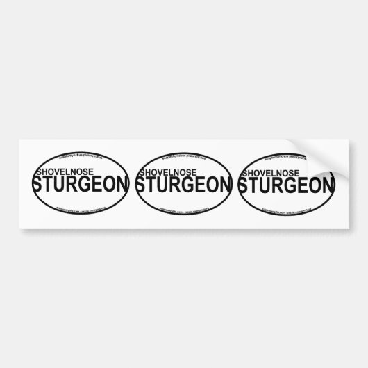 Shovelnose Stör-Euro-Aufkleber Autoaufkleber (Vorne)