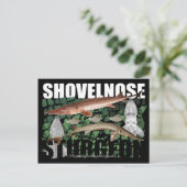 Shovelnose Sturgeon-Collage-Postcard Postkarte (Stehend Vorderseite)
