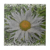 Show Me A Daisy #1 Fliese (Vorderseite)