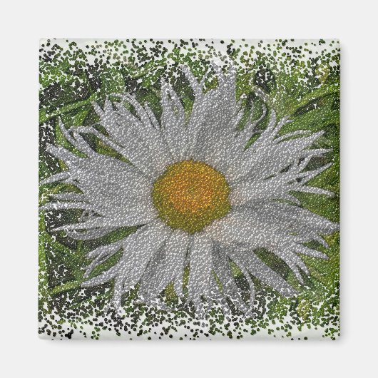 Show Me A Daisy #1 Magnet (Vorne)