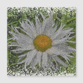 Show Me A Daisy #1 Magnetic Card Magnetkarte (Vorderseite)
