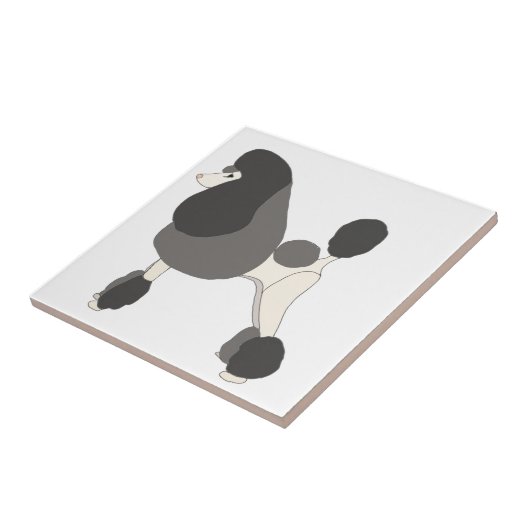 Show Poodle Fliese (Seite)