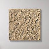 Showdrucke im Sand Leinwanddruck (Vorderseite)