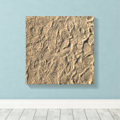 Showdrucke im Sand Leinwanddruck (Insitu (Holzboden))