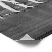 Showgirls, 1925. Vintages Foto Poster (Ecke)