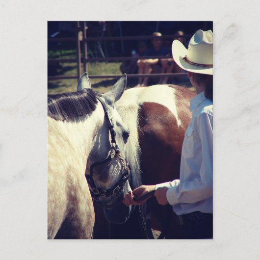 Showmanship auf einer Pferdeshow Postkarte (Vorderseite)