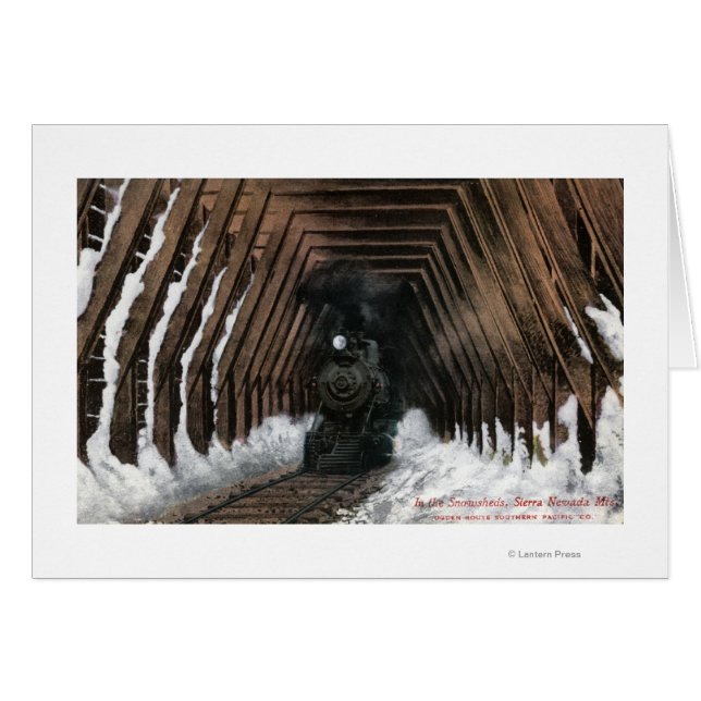 Showsheds Railroad (Vorderseite (Horizontal))