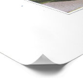 Showy Lady's Slipper - Cypripedium reginae Poster (Ecke)